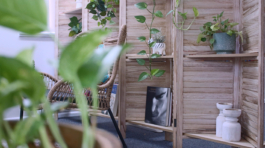 Psychological Disorders